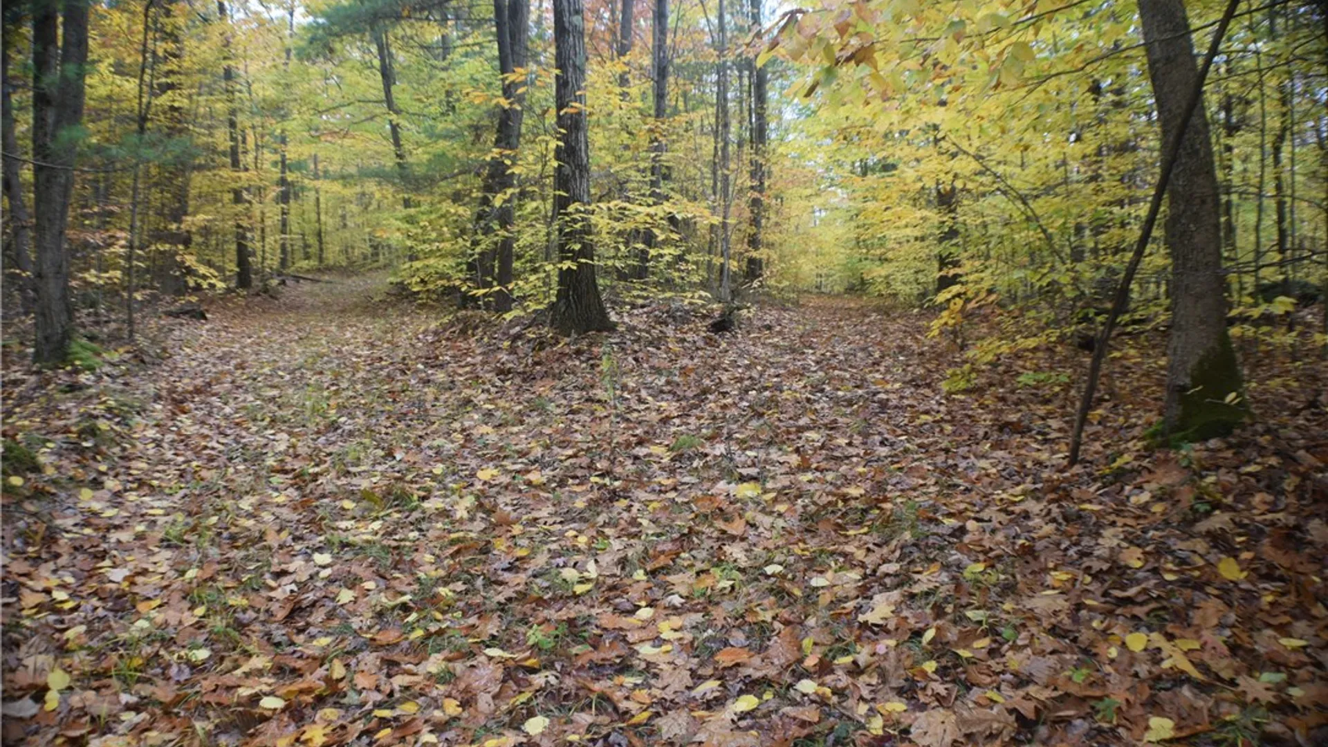 Property at 0 Crandall Rd & County Rd 37, Guilford, NY 13780 5