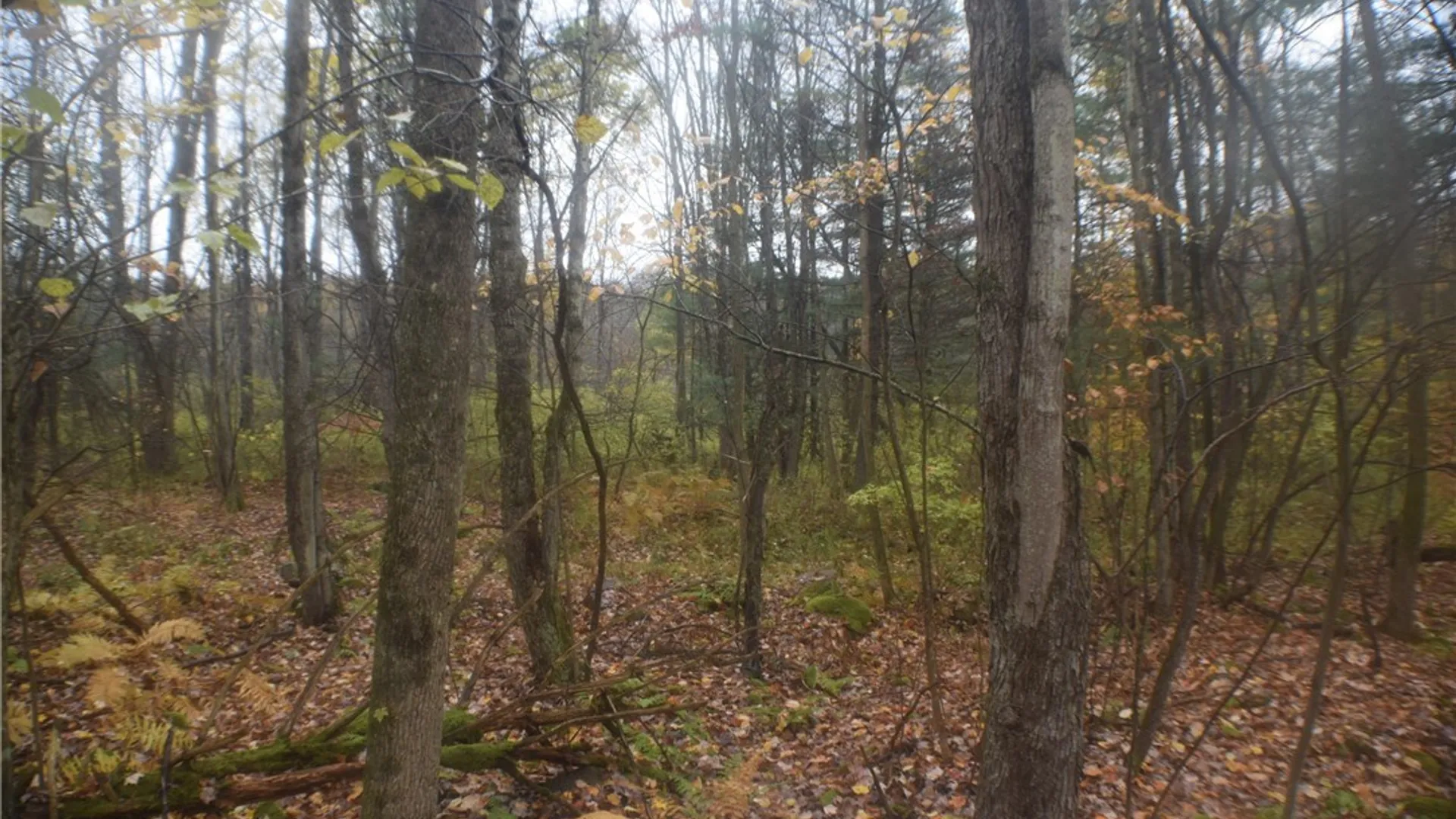 Property at 0 Crandall Rd & County Rd 37, Guilford, NY 13780 10