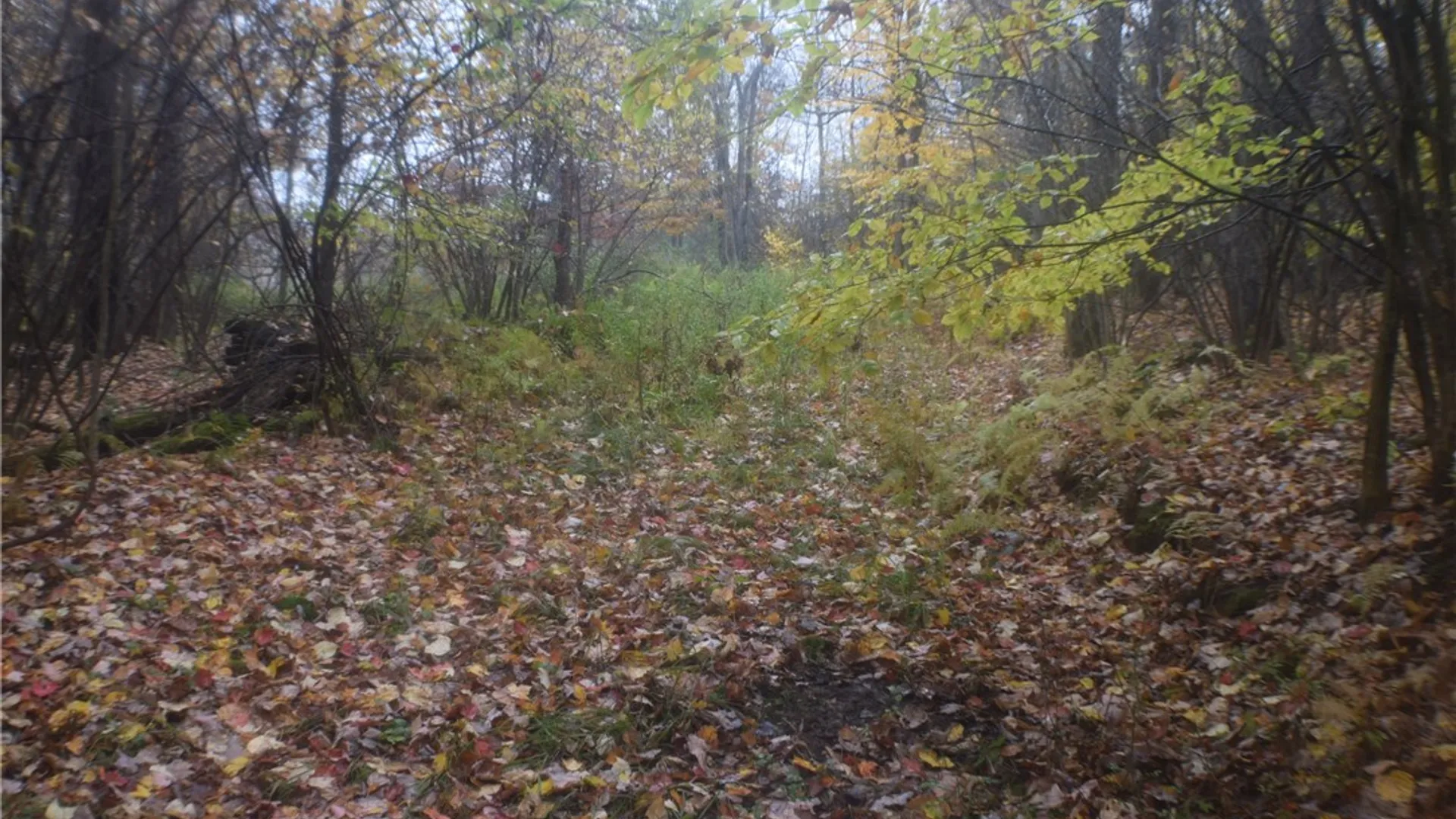 Property at 0 Crandall Rd & County Rd 37, Guilford, NY 13780 11