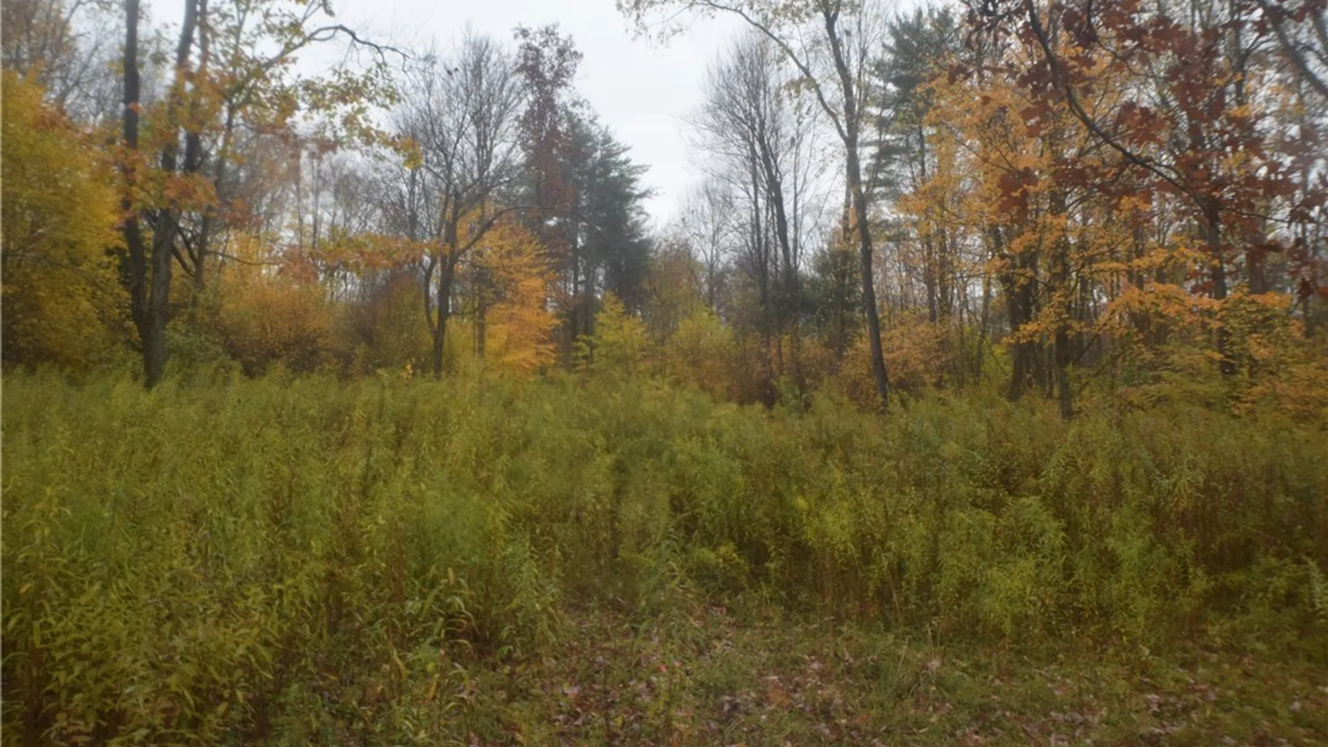 Property at 0 Crandall Rd & County Rd 37, Guilford, NY 13780 12