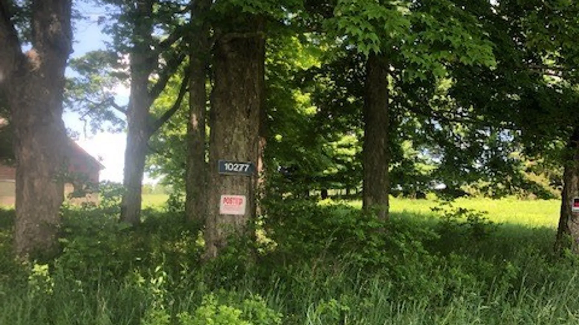 Property at 10277 Chesebro Road, Brookfield, NY 13485 3