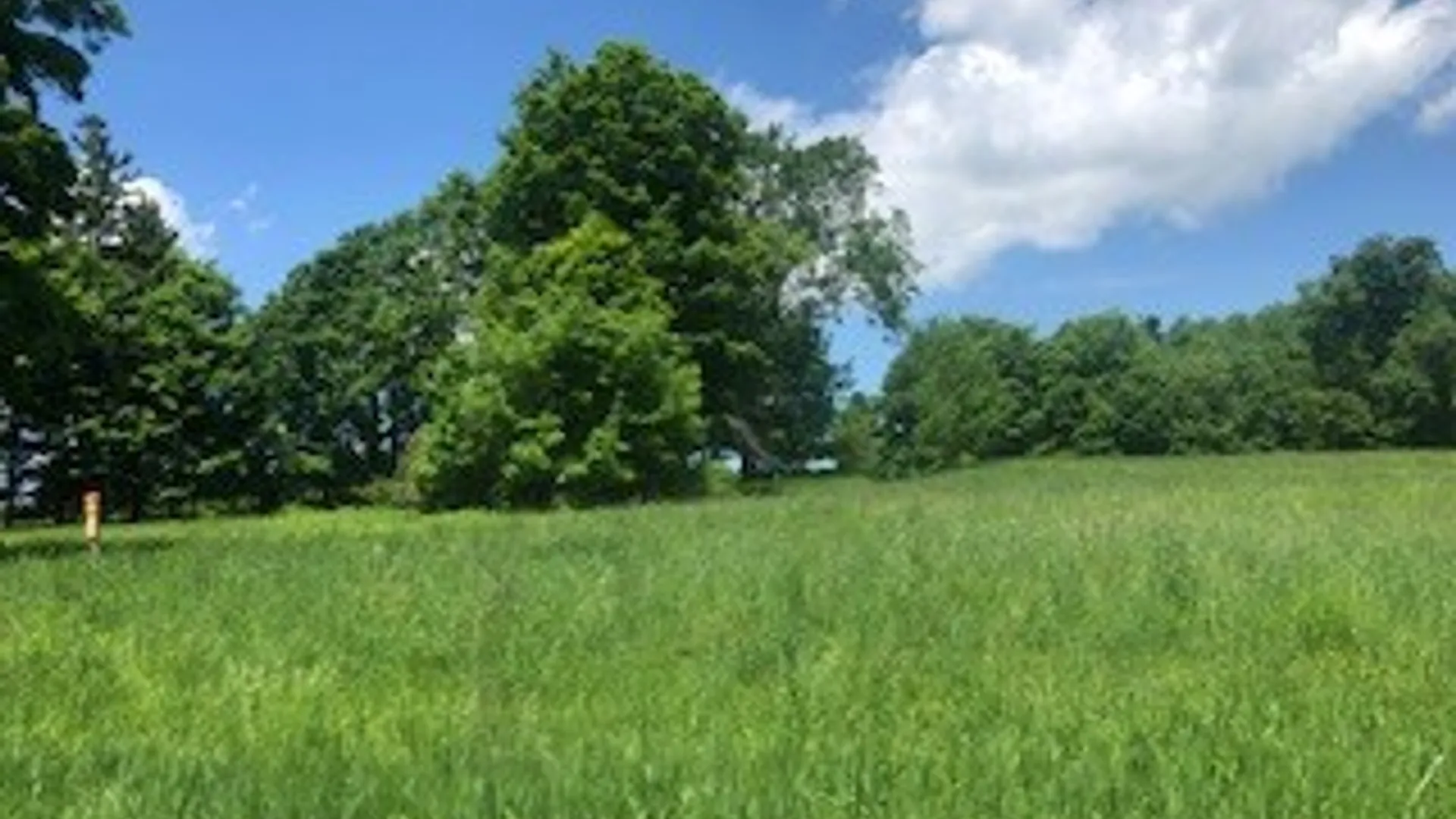 Property at 10277 Chesebro Road, Brookfield, NY 13485 4