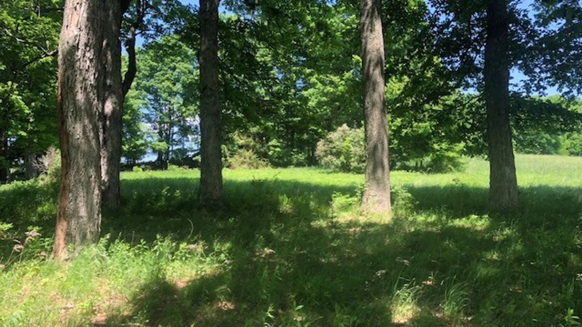 Property at 10277 Chesebro Road, Brookfield, NY 13485 7
