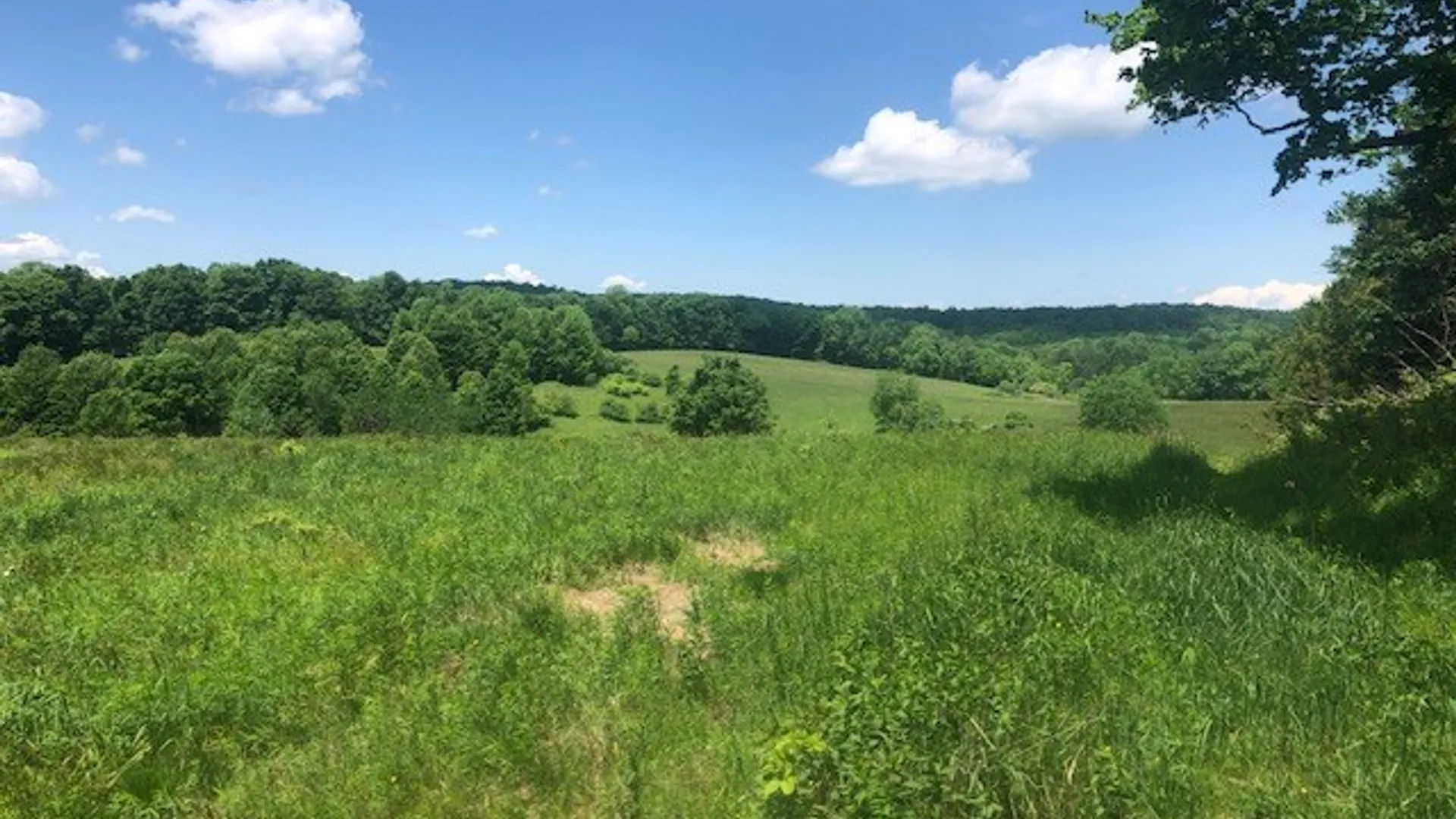 Property at 10277 Chesebro Road, Brookfield, NY 13485 11