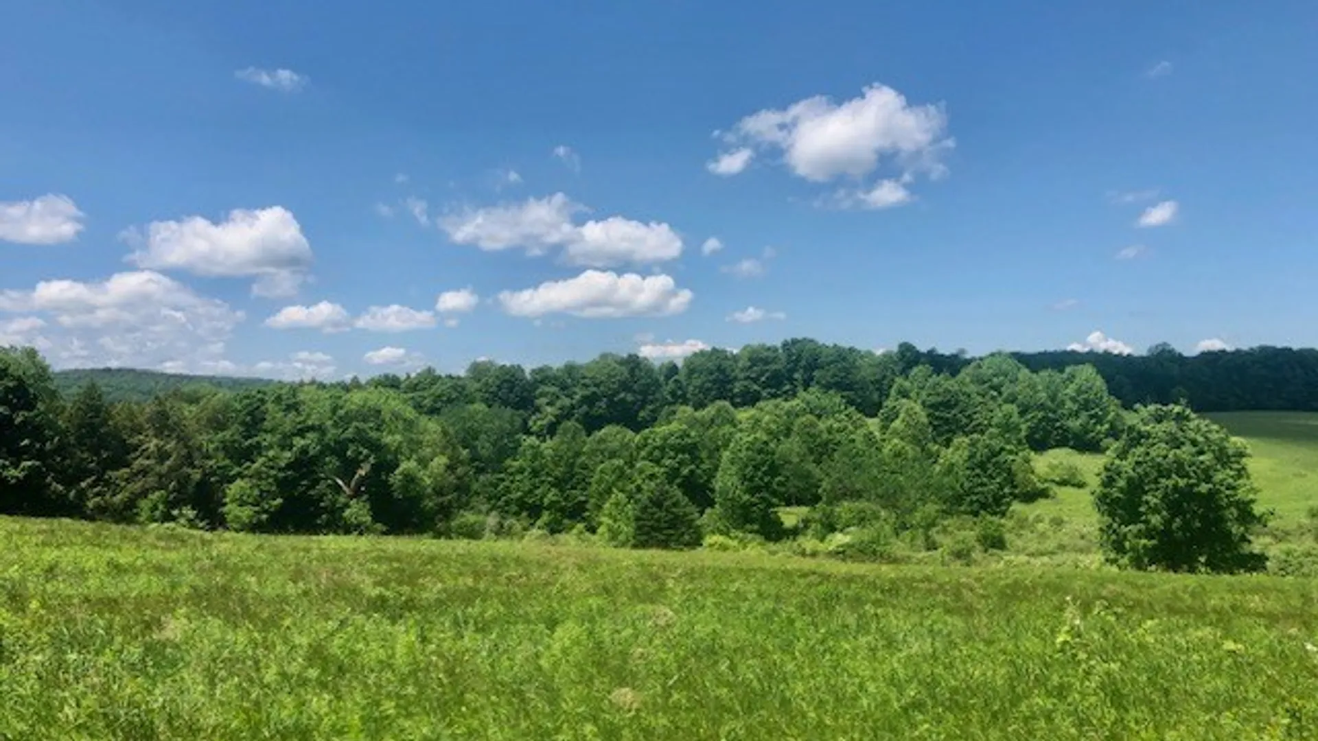 Property at 10277 Chesebro Road, Brookfield, NY 13485 13