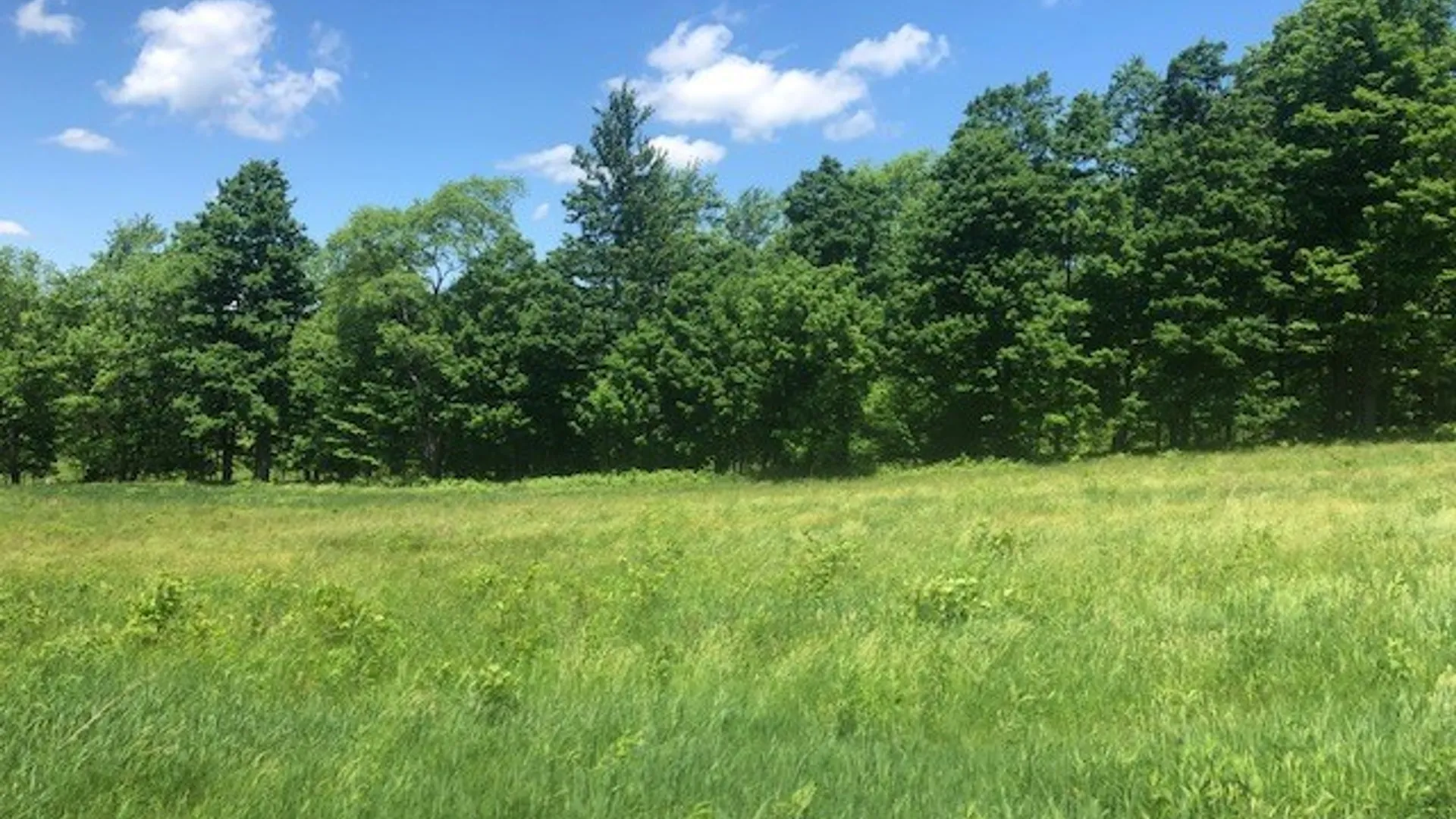 Property at 10277 Chesebro Road, Brookfield, NY 13485 17