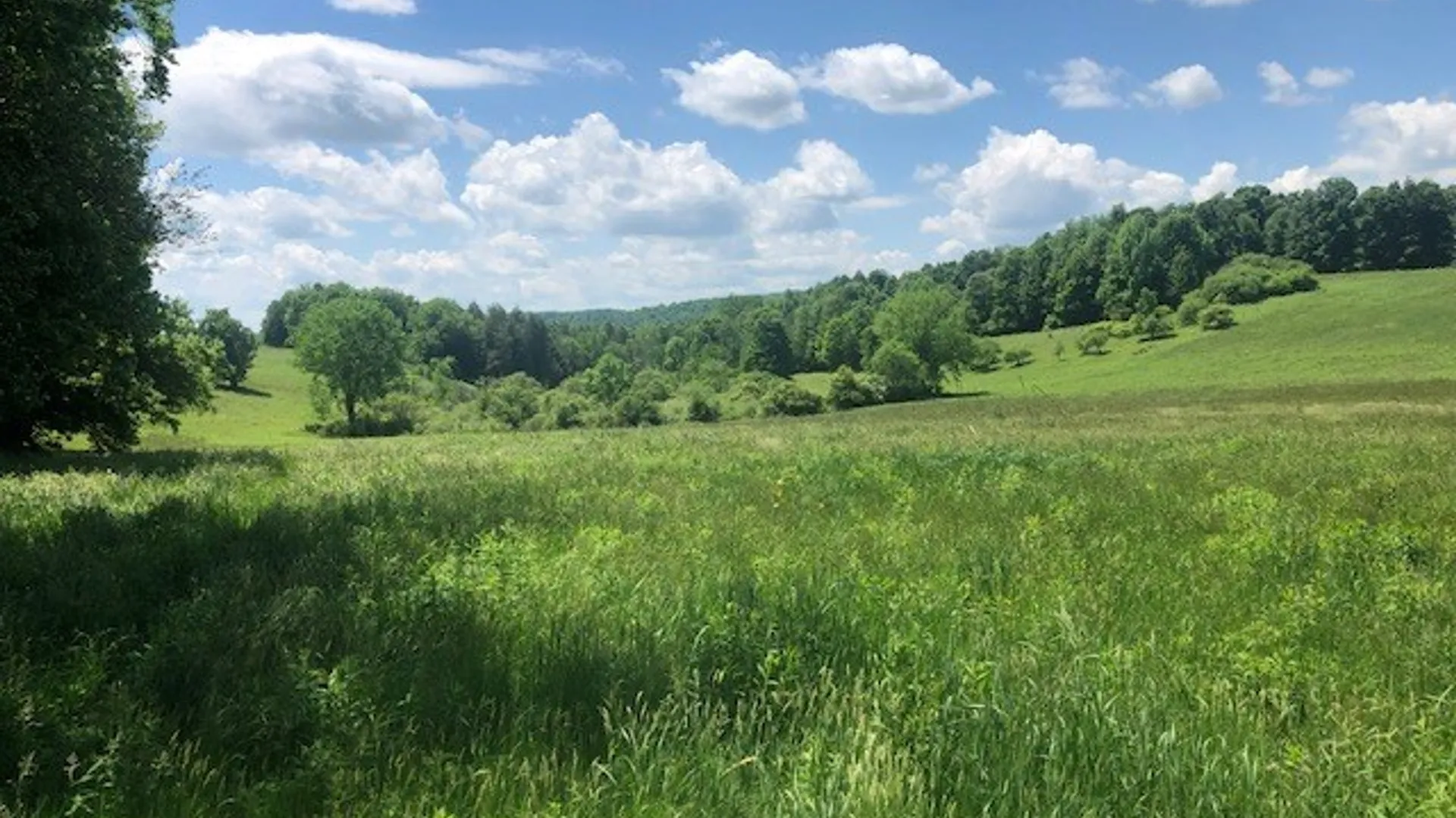 Property at 10277 Chesebro Road, Brookfield, NY 13485 18