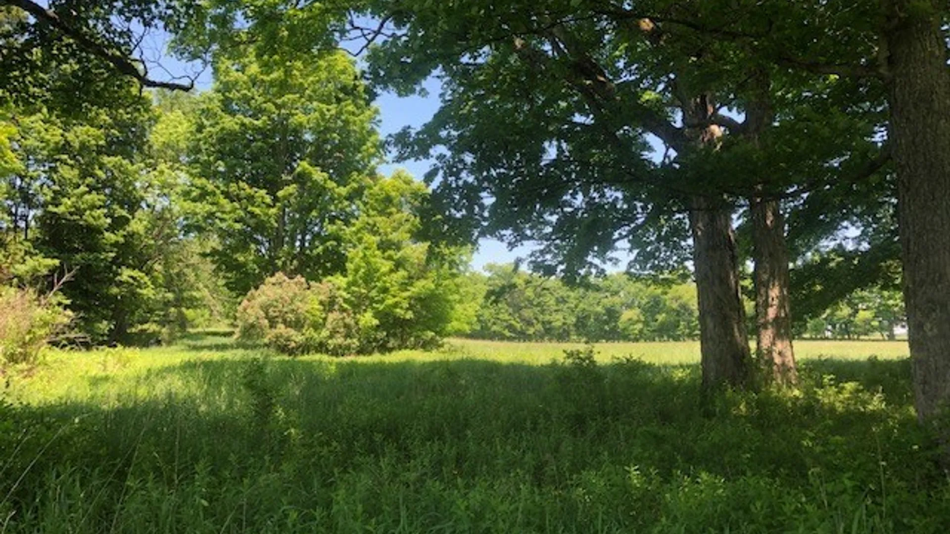 Property at 10277 Chesebro Road, Brookfield, NY 13485 23