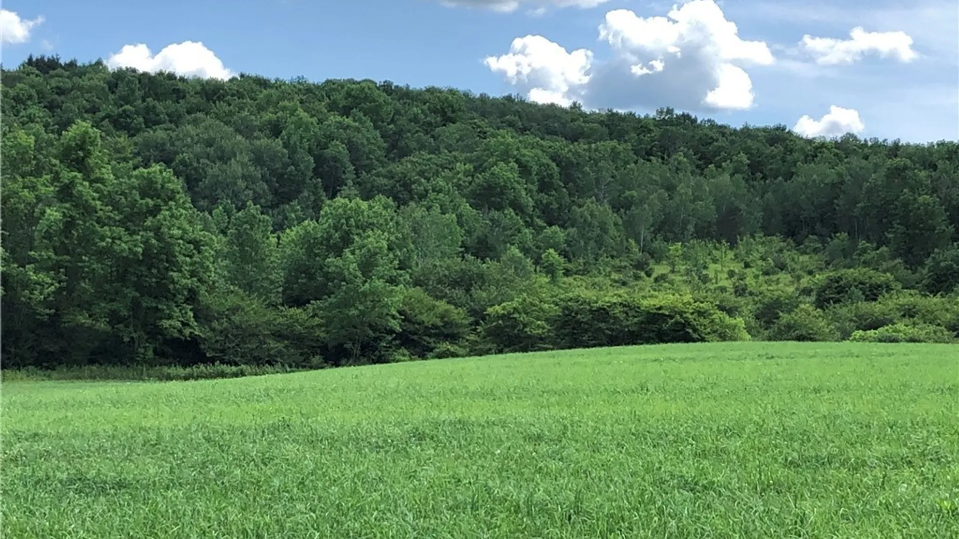 Property at 608 Pendell Hill Road, Barker, NY 13862 3