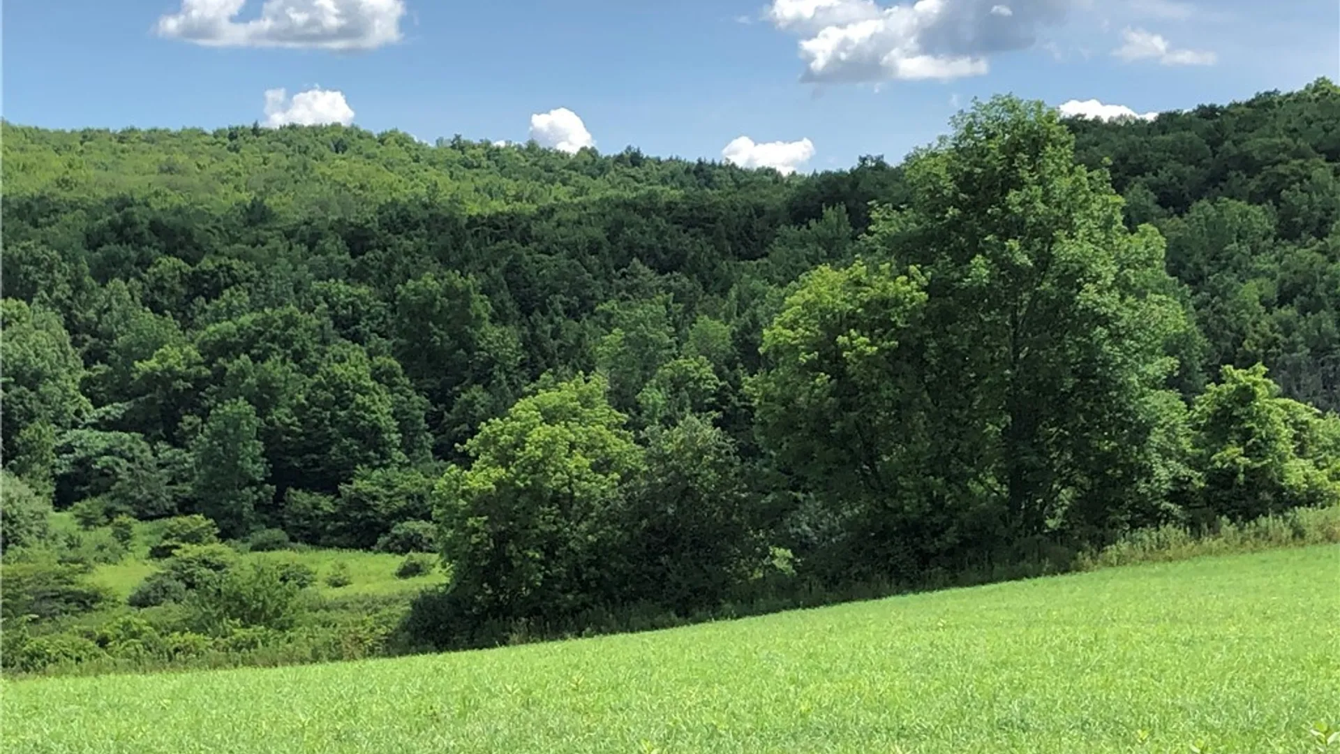 Property at 608 Pendell Hill Road, Barker, NY 13862 9