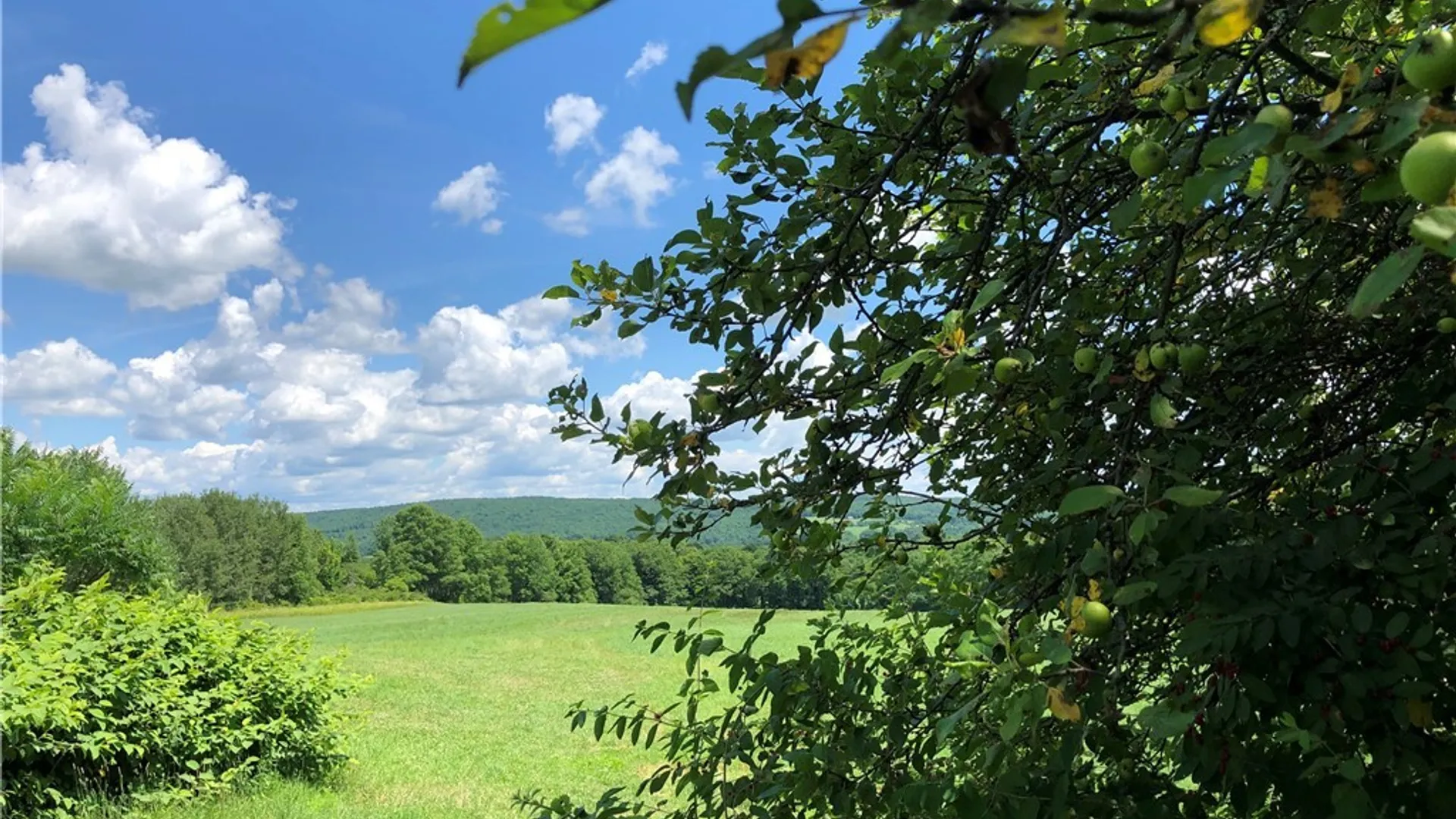 Property at 608 Pendell Hill Road, Barker, NY 13862 10